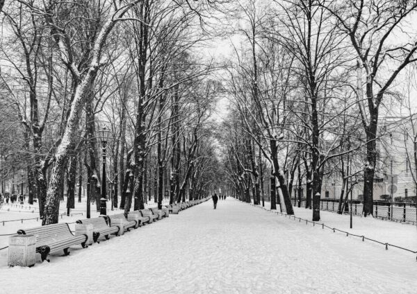 St Petersburg park in winter B&W